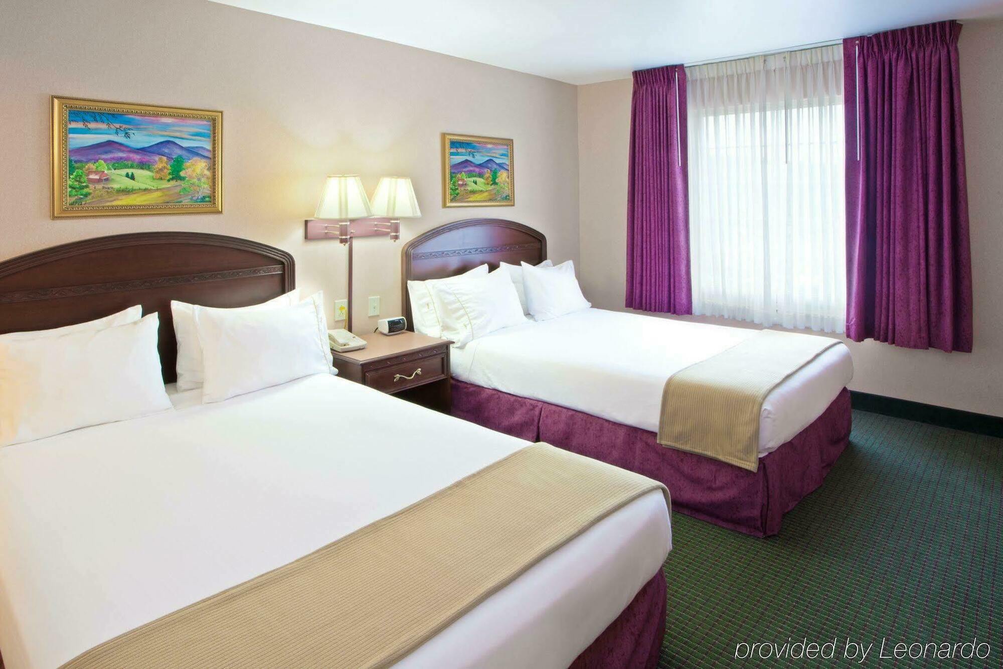 Holiday Inn Express Lexington Habitación foto